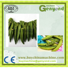 Fruit Vegetable Crisps Frying Equipment